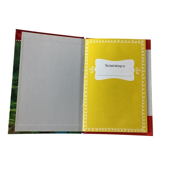 Chameleon Can Hardcover Childrens Book By Rosie Greening Kindergarten Reading To - Picture 4 of 7